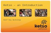 Ketso – an Introduction