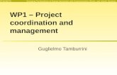 WP1 – Project coordination and management