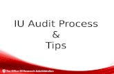IU Audit  Process & Tips