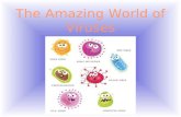 The Amazing World of Viruses