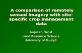 A comparison of remotely sensed imagery with site-specific crop management data
