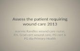 Assess the patient requiring  wound care 2013