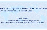Studies on  Oryzias  Fishes for Assessment  of Environmental Condition