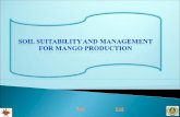 Soil suitability and management for mango production