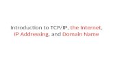 Introduction to TCP/IP,  the Internet ,  IP Addressing , and  Domain Name