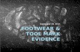 Footwear & tool mark Evidence