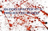 Blood Spatter  Pt  2: Projected Blood