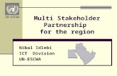 Multi Stakeholder Partnership  for the region