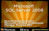 Microsoft  SQL Server 2008