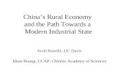 China’s Rural Economy  and the Path Towards a  Modern Industrial State
