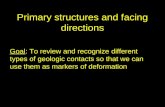 Primary structures and facing directions