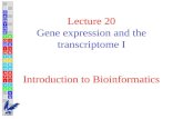 Lecture 20 Gene expression and the transcriptome I Introduction to Bioinformatics