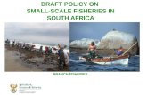 DRAFT POLICY ON  SMALL-SCALE FISHERIES IN  SOUTH AFRICA