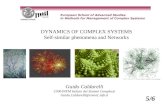 DYNAMICS OF COMPLEX SYSTEMS Self-similar phenomena and Networks
