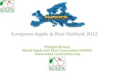 European Apple & Pear Outlook 2012