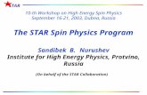 10-th Workshop on High Energy Spin Physics September 16-21, 2003, Dubna, Russia