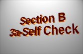 Section B  3a-Self Check