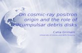 On cosmic-ray positron origin and the role of circumpulsar debris disks
