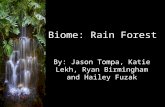 Biome: Rain Forest