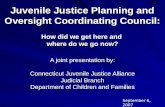 Juvenile Justice Planning and Oversight Coordinating Council: