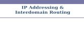 IP Addressing & Interdomain Routing