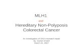 MLH1  and Hereditary Non-Polyposis Colorectal Cancer