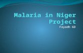 Malaria in Niger Project