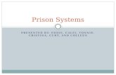Prison Systems