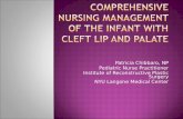 Comprehensive Nursing Management of the Infant with Cleft Lip and Palate