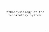 Pathophysiology of the respiratory system