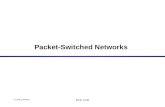 Packet-Switched Networks