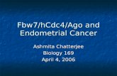 Fbw7/hCdc4/Ago and Endometrial Cancer
