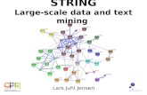 STRING Large-scale data and text mining