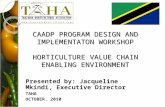 CAADP PROGRAM DESIGN AND IMPLEMENTATON WORKSHOP HORTICULTURE VALUE CHAIN ENABLING ENVIRONMENT