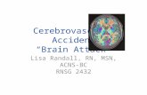 Cerebrovascular Accident “Brain Attack”