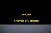 ANOVA Analysis  of  Variance