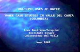 MULTIPLE USES OF WATER THREE CASE STUDIES IN VALLE DEL CAUCA (COLOMBIA)