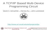 A TCP/IP Based Multi-Device Programming Circuit