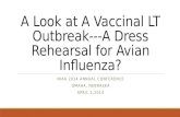 A Look at A  Vaccinal  LT Outbreak---A Dress Rehearsal for Avian Influenza?