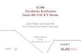 E206 Terahertz Radiation from the FACET Beam