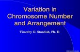 Variation in Chromosome Number and Arrangement