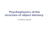 Psychophysics of the structure of object memory