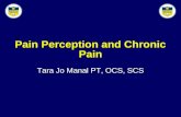Pain Perception and Chronic Pain