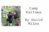 Camp Kaitawa By David Milne