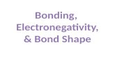 Bonding,  Electronegativity , & Bond Shape