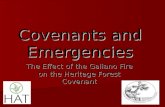 Covenants and Emergencies