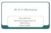 IR-4 in Montana