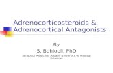 Adrenocorticosteroids & Adrenocortical Antagonists
