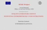IFISE Project Second Meeting Milan, 1st and 2nd February 2001