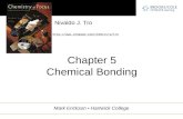 Chapter 5 Chemical Bonding